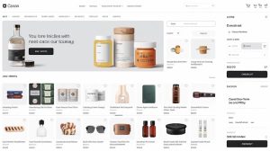 How to Start an E-Commerce Store in Canada